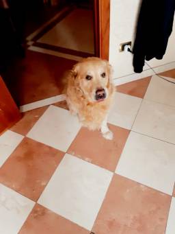 WhatsApp Image 2019-06-07 at 16.20.21(1)