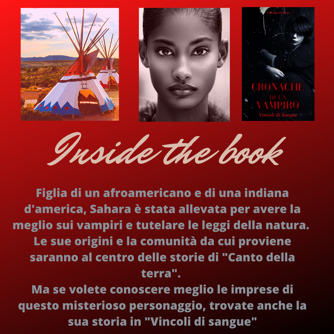 Da troppi anni quella missione era l’ossessione della sua vita. Ma non riusciva mai ad andare fino in fondo. Iniziava a temere di non avere il fegato di ingaggiare uno scontro all’ultimo sangue con il vampiro a cui d (1)